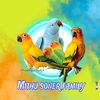 mitho.soner.family