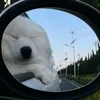 useranh55