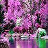 moreenblooms001