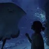 iihygtfrde