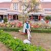 nguyn.th.phng407