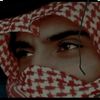 user053140471