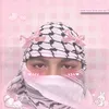 ammar.313_2