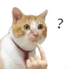 see.uwu_