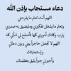 mahmoudmalnady
