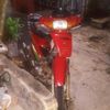 rifan_stecu