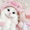 amll_0829