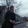 blue_lupin