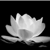 .myezze