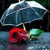 user66980241524341