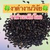 สารสกัดงาดำ เซซามิน