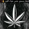 user9585066831601