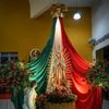 franciscoinfante63
