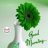 muneerahmadlakhme