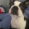 briley_2213