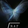 nindaat97