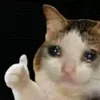 aaronistcool4