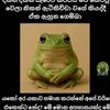kavinda.madushan39