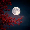 user120303519