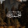 user3176581990685