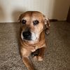 katelovesmutts2
