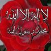 arja.amena