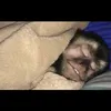 queteimportaa213