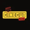 CineCut Recap