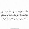 sherien.dawood