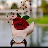 user6293309785244