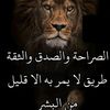 user8232081812104