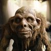 vonn.duggins