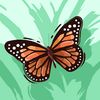 nihal.firas