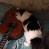 gitarist_b_