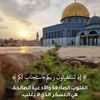 user1801181349184