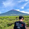 dewo_ferli