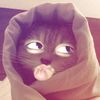 chnnyyandinii_