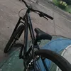 tavin_dugrauu