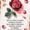 cristy.lopez55