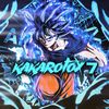 kakaroto_x_7