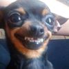 marcos626262738