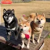 yummygozq0o