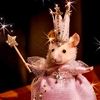 hamster6335