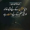 iqrazaman86