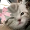 maria.cielo.pepit8