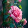 little.angel786