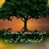 abdul.waiz