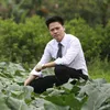 davidsphuong