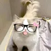 amikhaloi