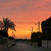 malek_1.11